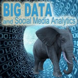 Big Data and Social Media Analytics